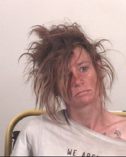 Booking photo of BROOKE ASHLEY FREELAND