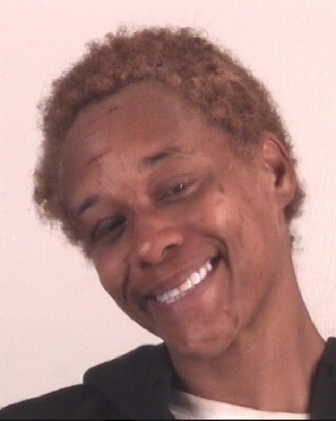 Booking photo of LAUREN PHILLIPS