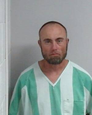 Booking photo of TRACY LANE WEBB