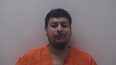 Booking photo of ALMAZAN PEDRO RAMON