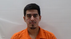 Booking photo of ARAIZA JONATHAN