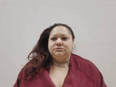 Booking photo of ARRIAGA AYALA ANNA LILIA