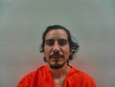 Booking photo of ARROYO RAY V