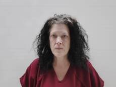 Booking photo of BARRIENTOS JODI