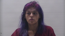 Booking photo of BENNETT CHRISTINA LEE
