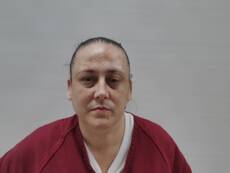 Booking photo of BROWN DANIELS BRANDY ANN