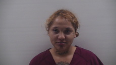 Booking photo of CASTILLO MARIA FERNANDA