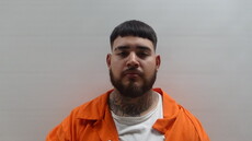 Booking photo of CASTILLO PEDRO ANTONIO