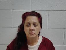 Booking photo of CAVAZOS VICKY