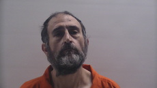 Booking photo of DE LUNA ROBERTO