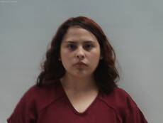 Booking photo of DEL ANGEL FELICIA