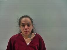 Booking photo of DIAZ STORMI MARIE