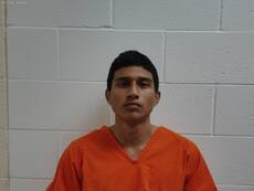Booking photo of DOMINGUEZ DIAZ BRYAN