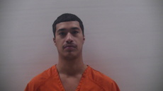 Booking photo of DOMINGUEZ JOSHUA