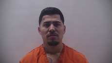 Booking photo of ELVERT ARADILLAS LUIS ALEJANDRO