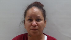 Booking photo of ESPINOSA YOLANDA
