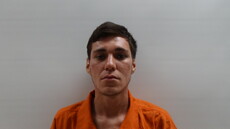 Booking photo of FLORES DAVID RAMOS