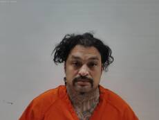 Booking photo of FLORES JOEL LONGORIA
