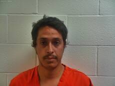 Booking photo of FLORES LUIS ENRIQUE