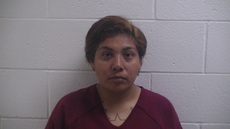 Booking photo of GARCIA SONIA