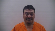 Booking photo of GUERRERO FLORES GABINO