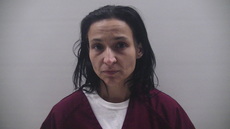 Booking photo of HEBERT DAWN ELIZABETH