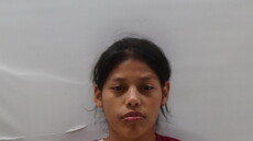 Booking photo of IBARRA DINORAH DELFINA