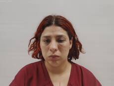 Booking photo of JUAREZ PENA GISELA ANAY