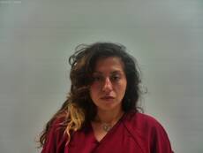 Booking photo of LEAL  ELENA
