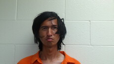 Booking photo of LU JOSHUA