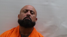 Booking photo of MAGALLANES FELIPE