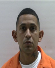 Booking photo of ORTEZ FERNANDO