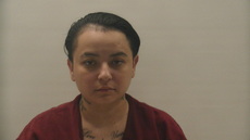 Booking photo of PALOMO  ALEJANDRA