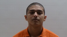 Booking photo of PENA ENRIQUE