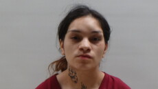 Booking photo of PEREZ DESTINY LEE