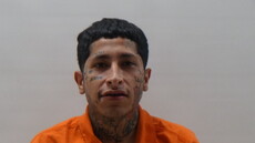 Booking photo of PEREZ TADEO RAMIREZ