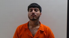 Booking photo of PINTOR ALBERTO