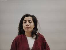 Booking photo of RETA CRYSTAL