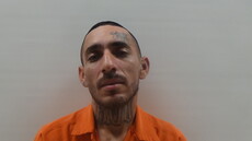 Booking photo of REYES PENA JULIAN ULISSES