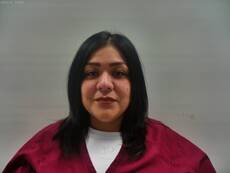 Booking photo of SALINAS  ZELENA