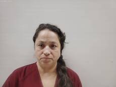 Booking photo of SANCHEZ MARTHA