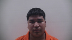 Booking photo of SAUCEDO PENA JUAN YANDEL