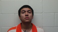 Booking photo of Sosa Pedro Antonio