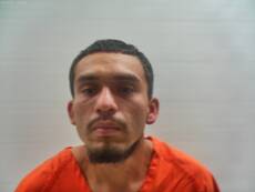 Booking photo of TELLEZ BARCENAS PEDRO