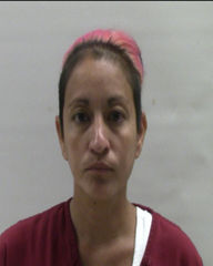 Booking photo of TORRES FARBER ALONDRA