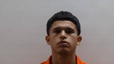 Booking photo of Torres Josue