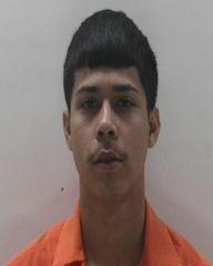 Booking photo of VEGA BRANDON