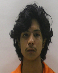 Booking photo of VELA JOSE LORETA