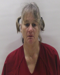 Booking photo of WHITE LIZ ALLEN