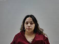 Booking photo of WOLF LUCIA